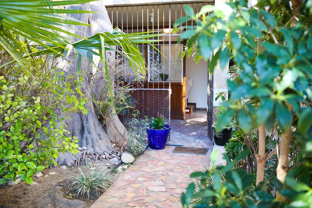 Oudtshoorn Homestay Accommodation Zewnętrze zdjęcie